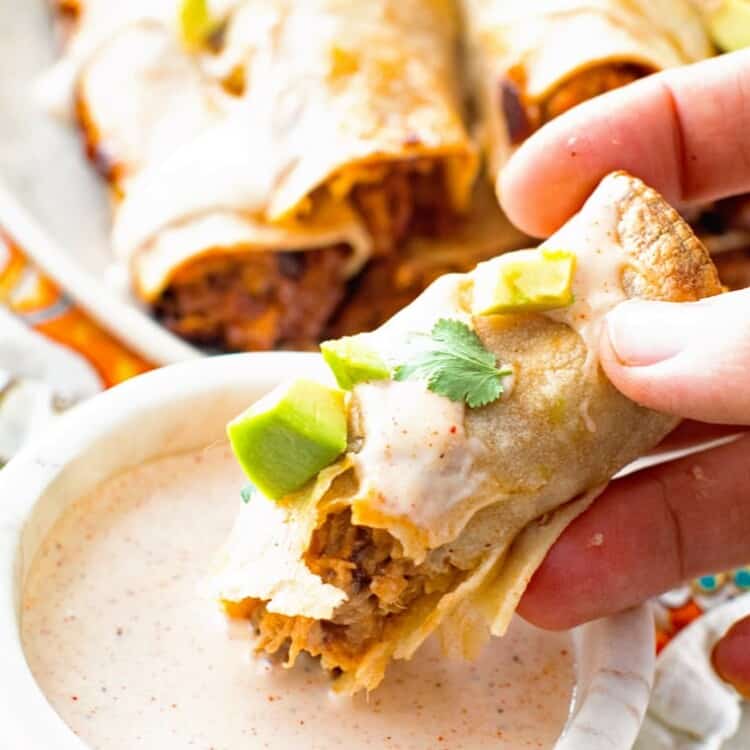 Taquito dipped in chipotle ranch dressing