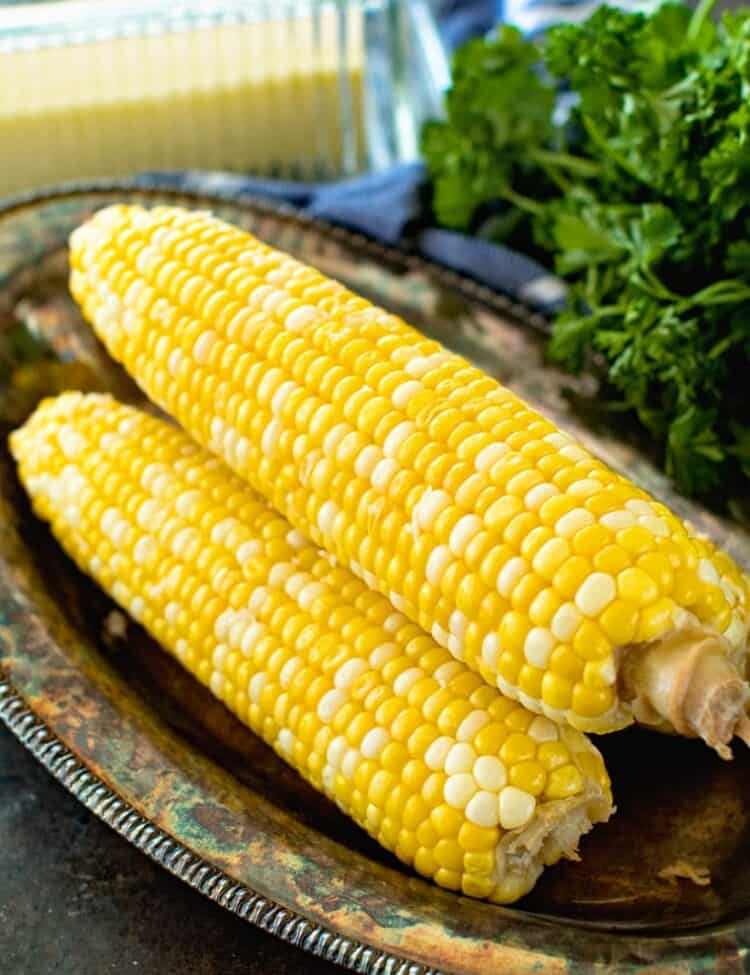 prepared grilled corn on the cob on a tray