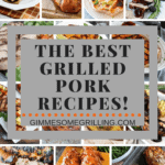 Grilled Pork Recipes Collage. Fourteen background images of grilled pork behind text reading the best grilled pork recipes