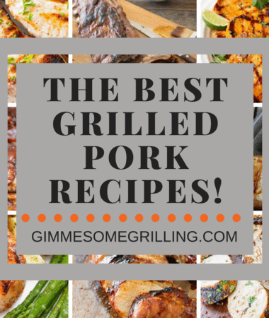 Grilled Pork Recipes Collage Pinterest Portrait