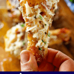 Grilled Parmesan Chicken Drumstick, ready to eat and finger-licking good!