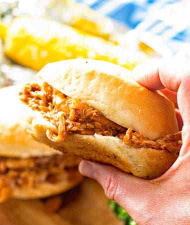 Pulled Chicken Sandwiche in hand
