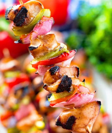 Hand holding Asian Chicken Skewers