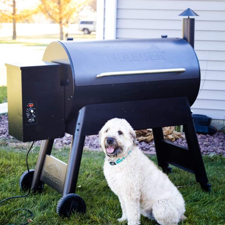 Dog in front of Traeger Eastwood 34
