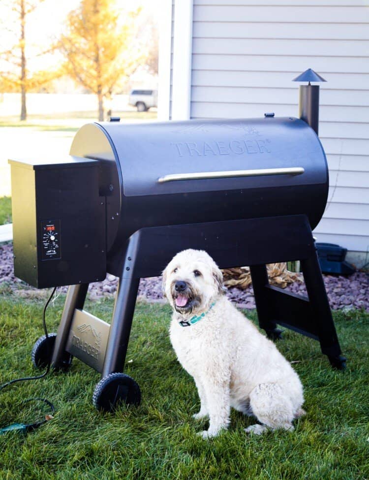 Dog in front of Traeger Eastwood 34