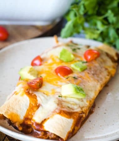 Plate with pulled pork enchiladas