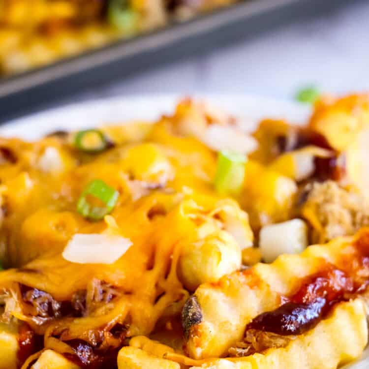 Plate with pulled pork fries on it