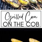 Grilled Corn on the Cob GSG Pin Image