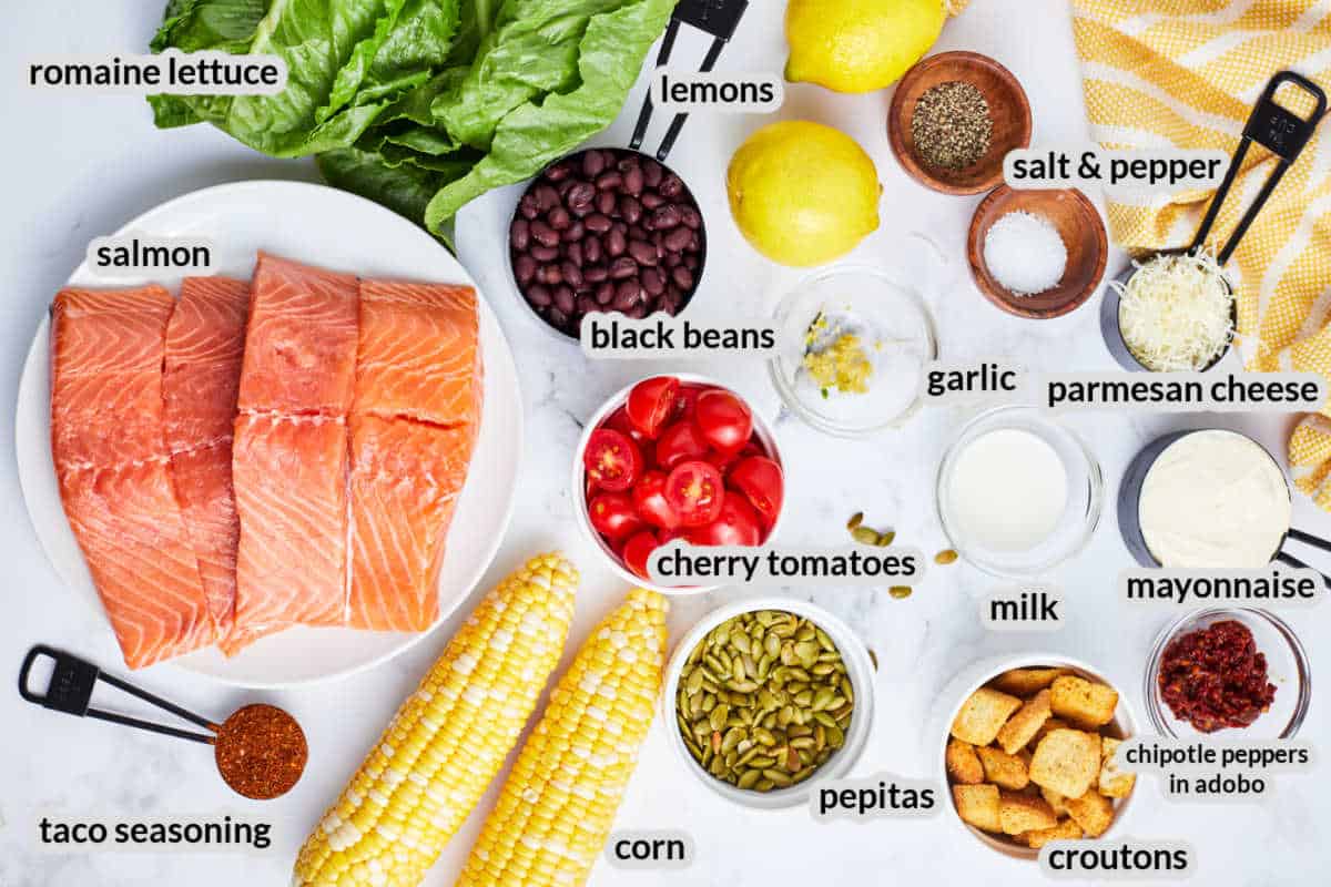 Southwest Salmon Caesar Salad Ingredients