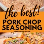 Pork Chop Seasoning Pin Image