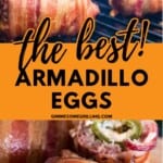 Armadillo Eggs Pinterest Image