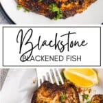 Blackstone Blackened Fish GSG Pinterest