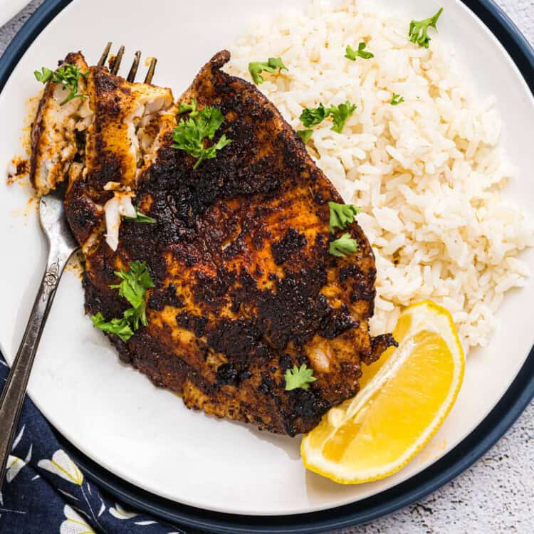 Closeup square image of Blackstone Blackened Fish on plate with rice and lemon slice