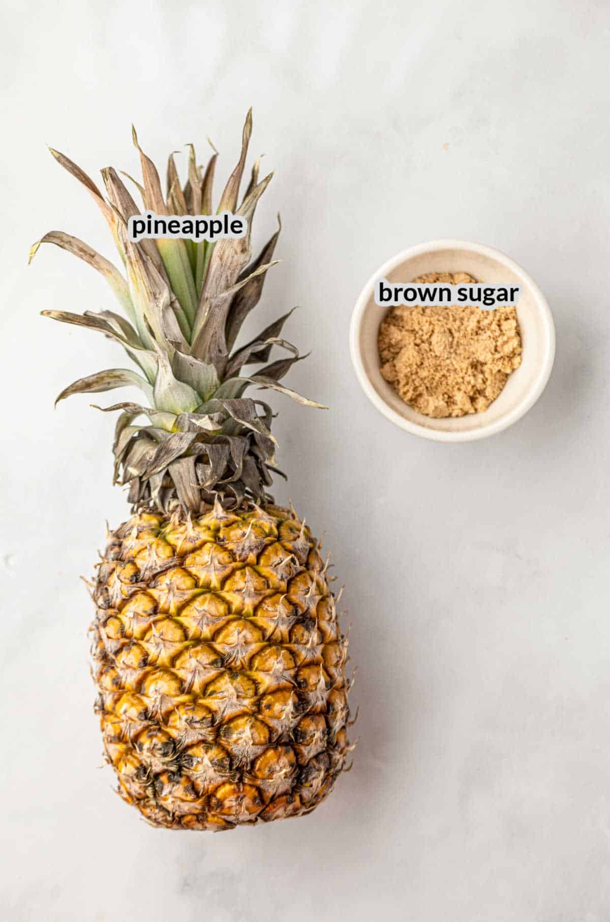 Overhead Image of Grilled Pineapple Ingredients