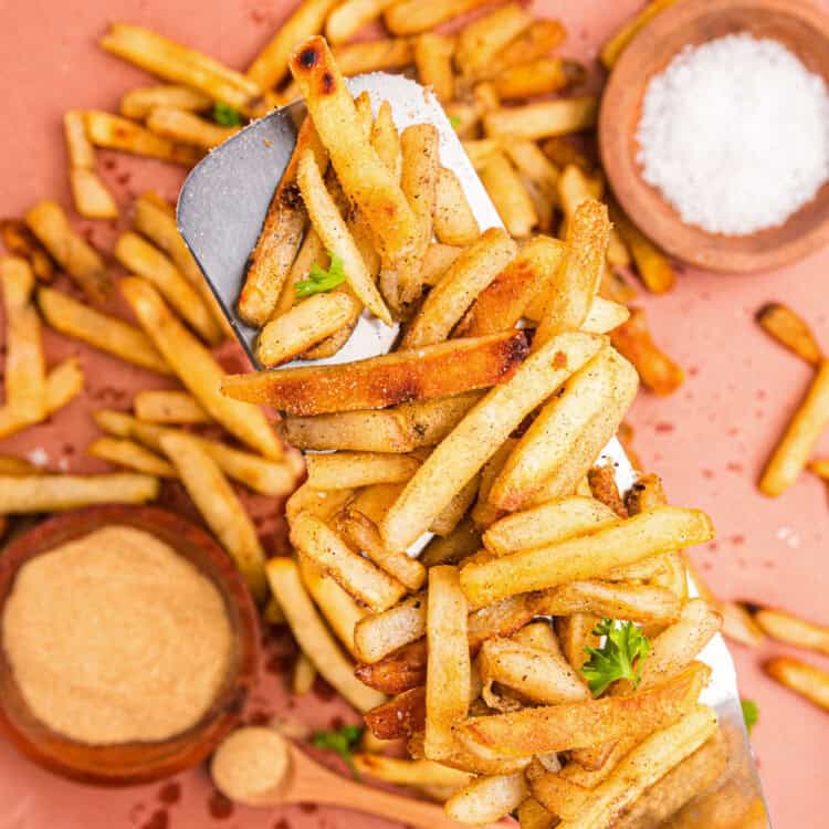 Closeup square image of Blackstone French Fries