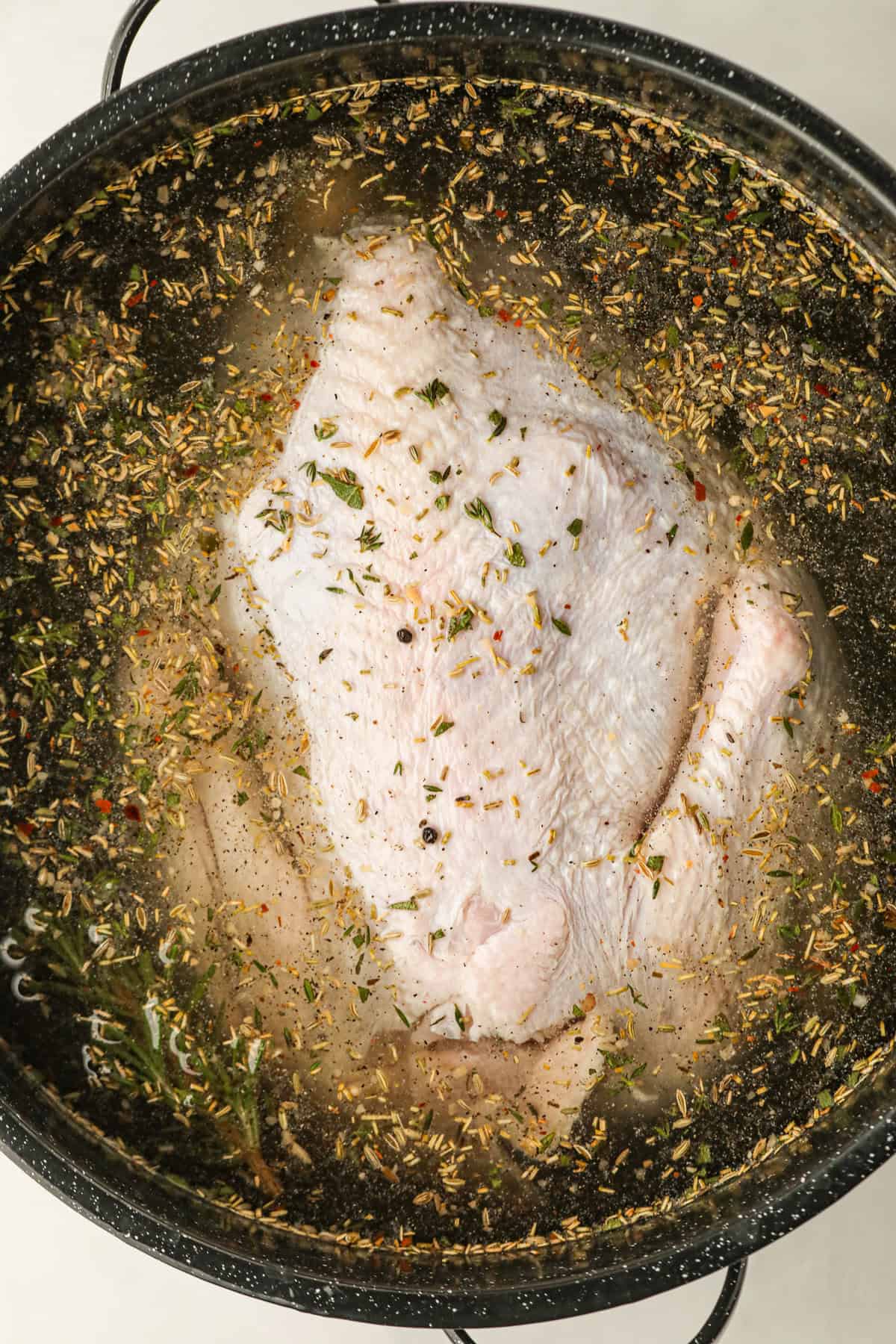 Overhead picture of black pot with turkey in brine.