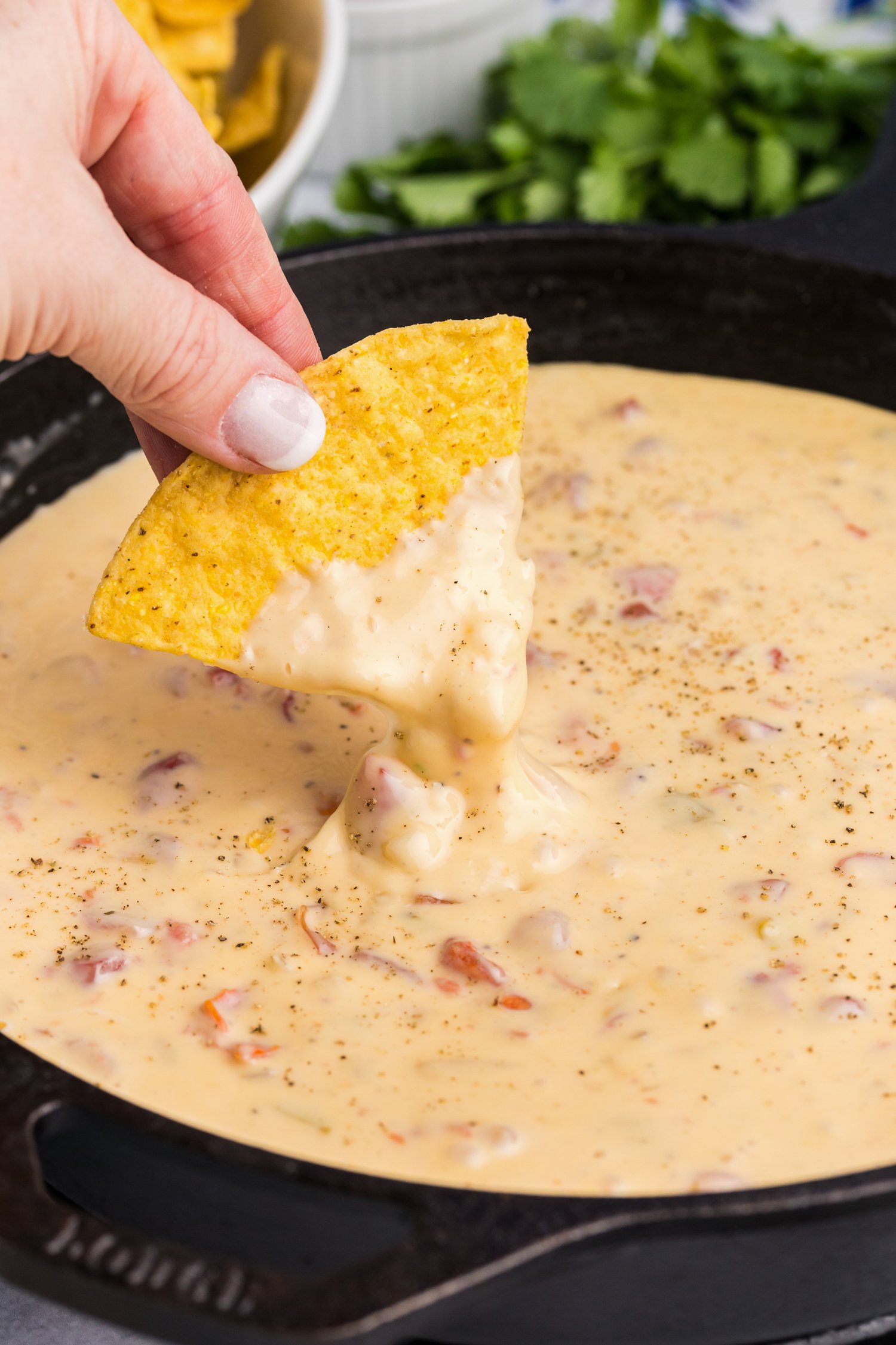 Side picture of hand holding a tortilla chip dipped in Blackstone Queso.