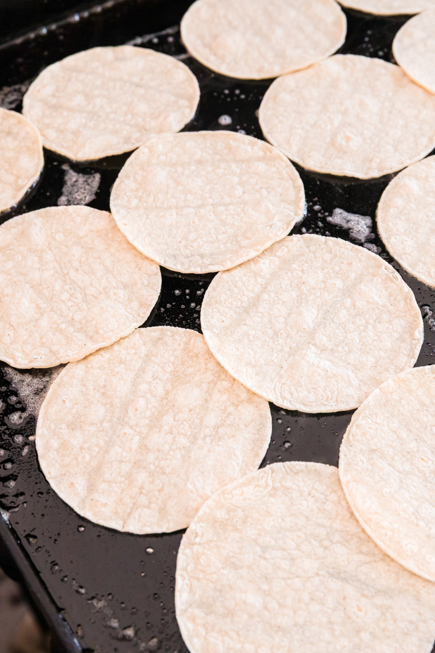 Several small corn tortillas warming on a greased griddle.