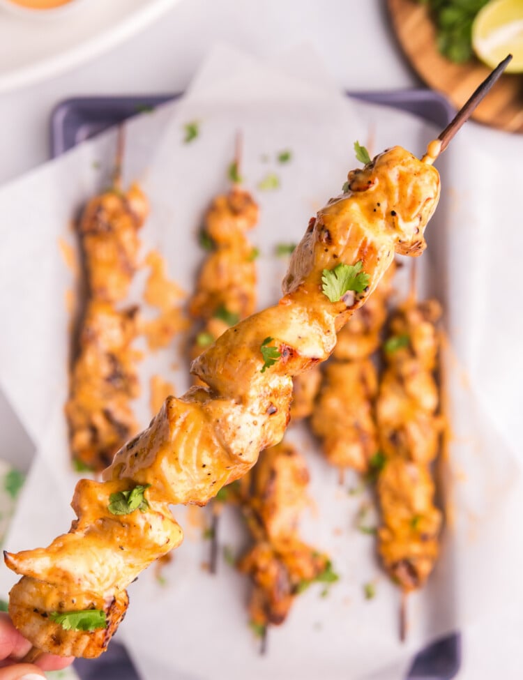 Close-up of a single Bang Bang chicken skewer being held up, showing a glossy coating of sauce and garnished with fresh cilantro.