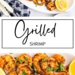 Grilled Shrimp GSG Pinterest Image