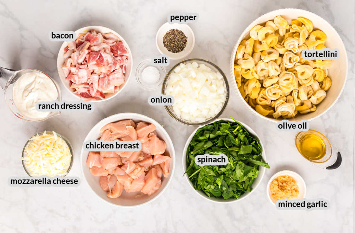 Chicken Bacon Ranch Tortellini Supply Image