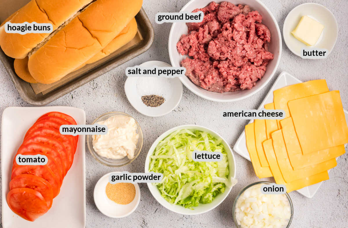 Chopped Cheese Supply Image