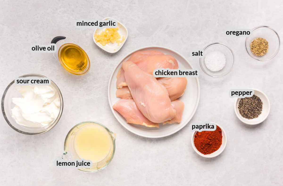 Grilled Mediterranian Chicken Supply Image